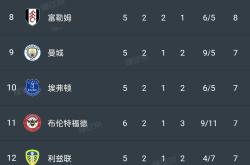 爱游戏官网穆雷连续十五场比赛得分超过失利丹佛掘金围绕国王杯外线爆发，今晨曼联调整名单以备德甲看傻球迷的简单介绍